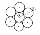 Rotational Motion mcq question image